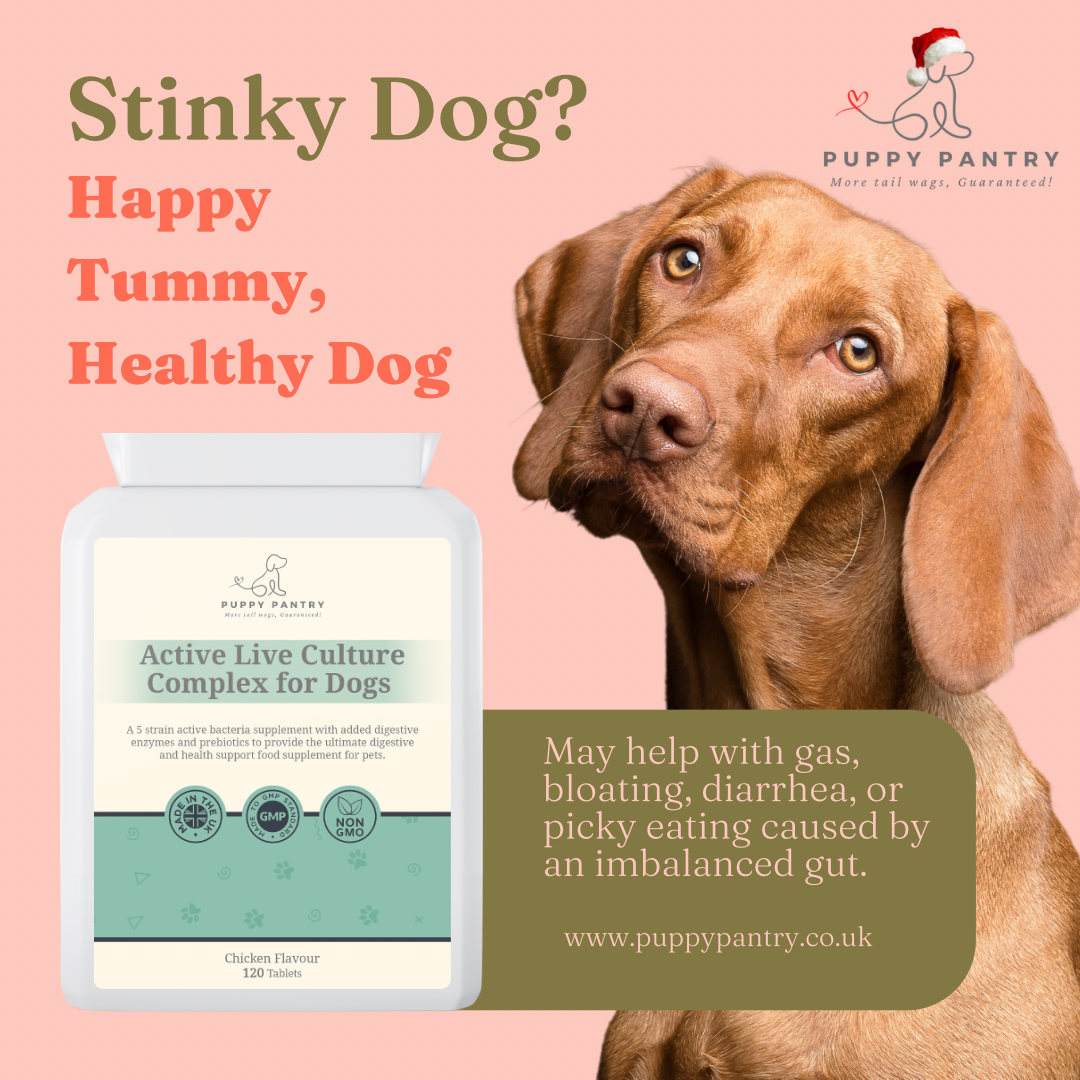 Gut Health Supplement for Dogs - Probiotics, Prebiotics, Enzymes - Chicken Flavor - 120 Tablets - Dog Digestive Support - Puppy Pantry
