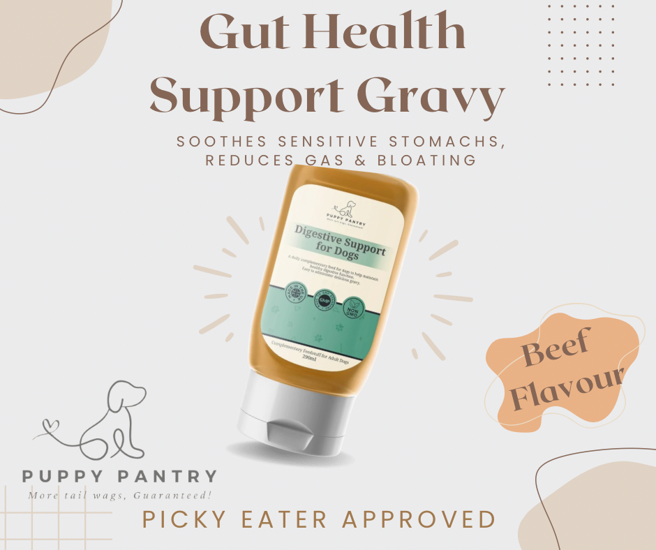 Prebiotic & Probiotic Digestive Gravy for Dogs - Gut Health Support, Soothes Sensitive Stomachs, Reduces Gas & Bloating - 290ml Beef Flavor