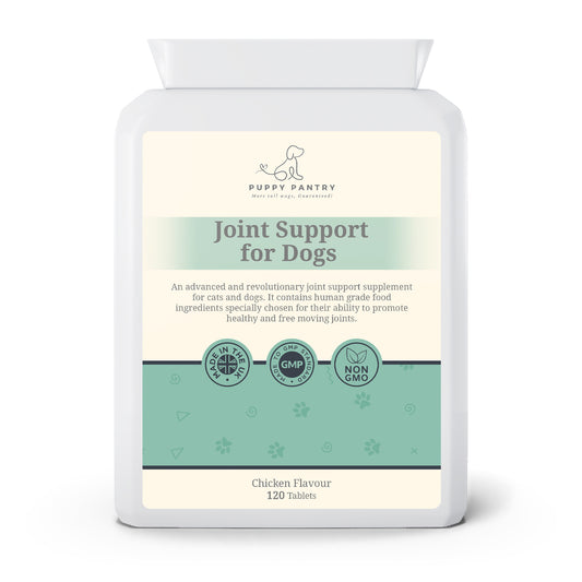 Joint Support Tablets for Dogs of All Ages - Glucosamine, Chondroitin, MSM for Mobility & Comfort - 120 Chicken Flavor Tablets
