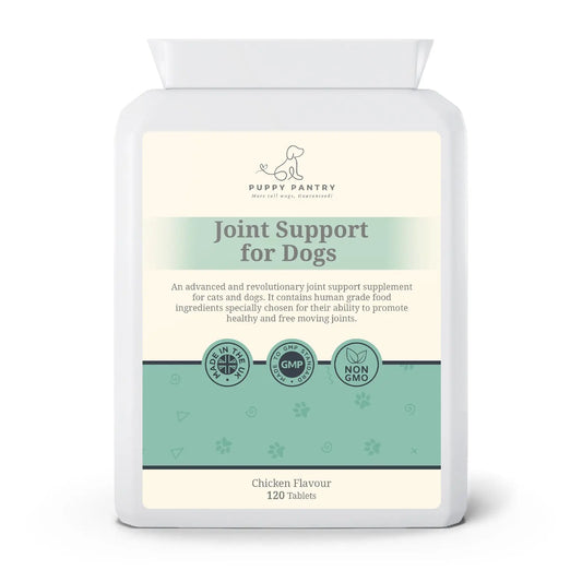 Dog Joint Support Tablets – Advanced Formula for Mobility & Comfort (120 Tablets) Puppy Pantry