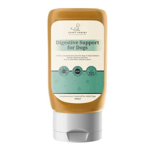 Prebiotic & Probiotic Digestive Gravy for Dogs - Gut Health Support, Soothes Sensitive Stomachs, Reduces Gas & Bloating - 290ml Beef Flavor