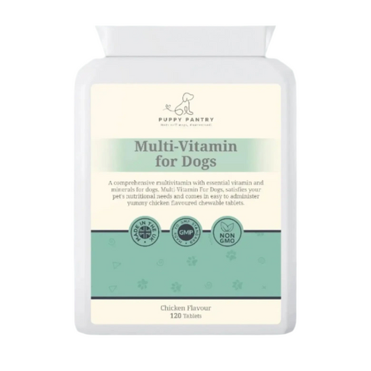 Dog Multivitamin - Immune Support, Skin & Coat Health, Digestion, & Energy - Chicken Flavor - 120 Chewable Tablets