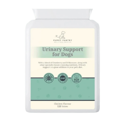 Dog Incontinence & UTI Support Tablets - Bladder Control, Kidney Support & Urinary Tract Health - Natural Supplements with Cranberry & D-Mannose