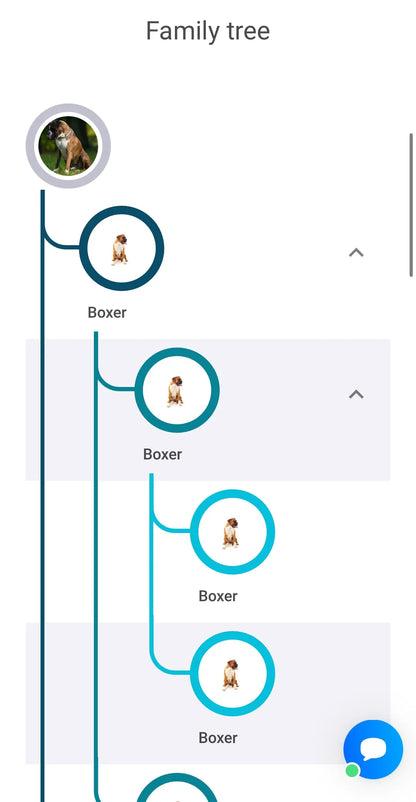 Wellness Decoded: Dog DNA Test - Puppy Pantry