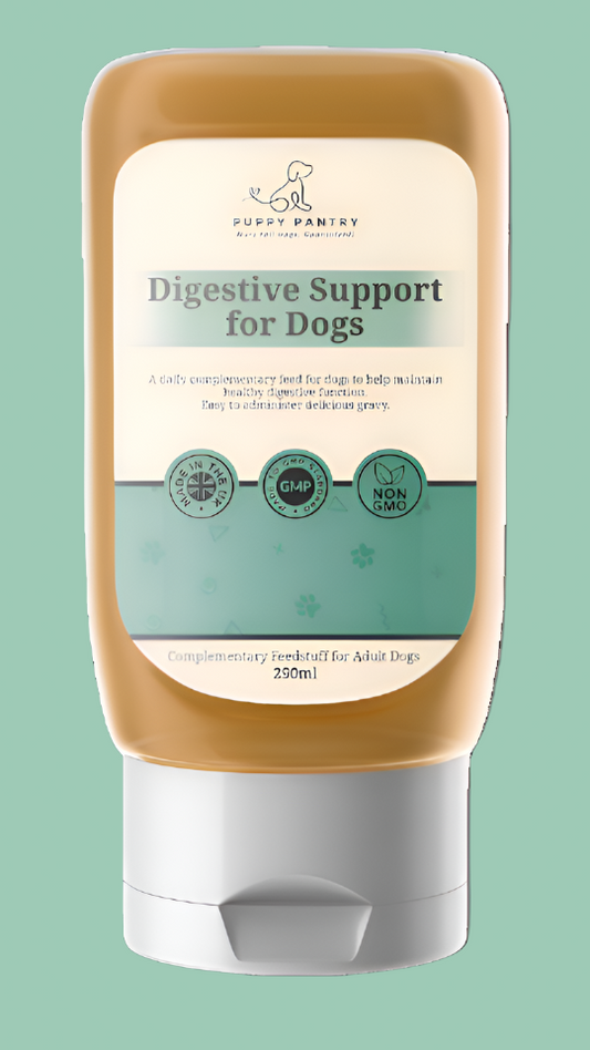 Easy-Pour Digestive Aid Gravy for Dogs ( 2 Month Supply)